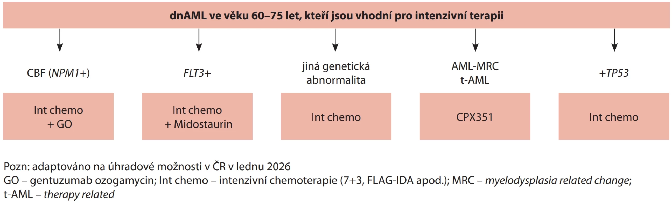 Algoritmus léčby pro dnAML ve věku 60–75 let, kteří jsou vhodní pro intenzivní terapii. 