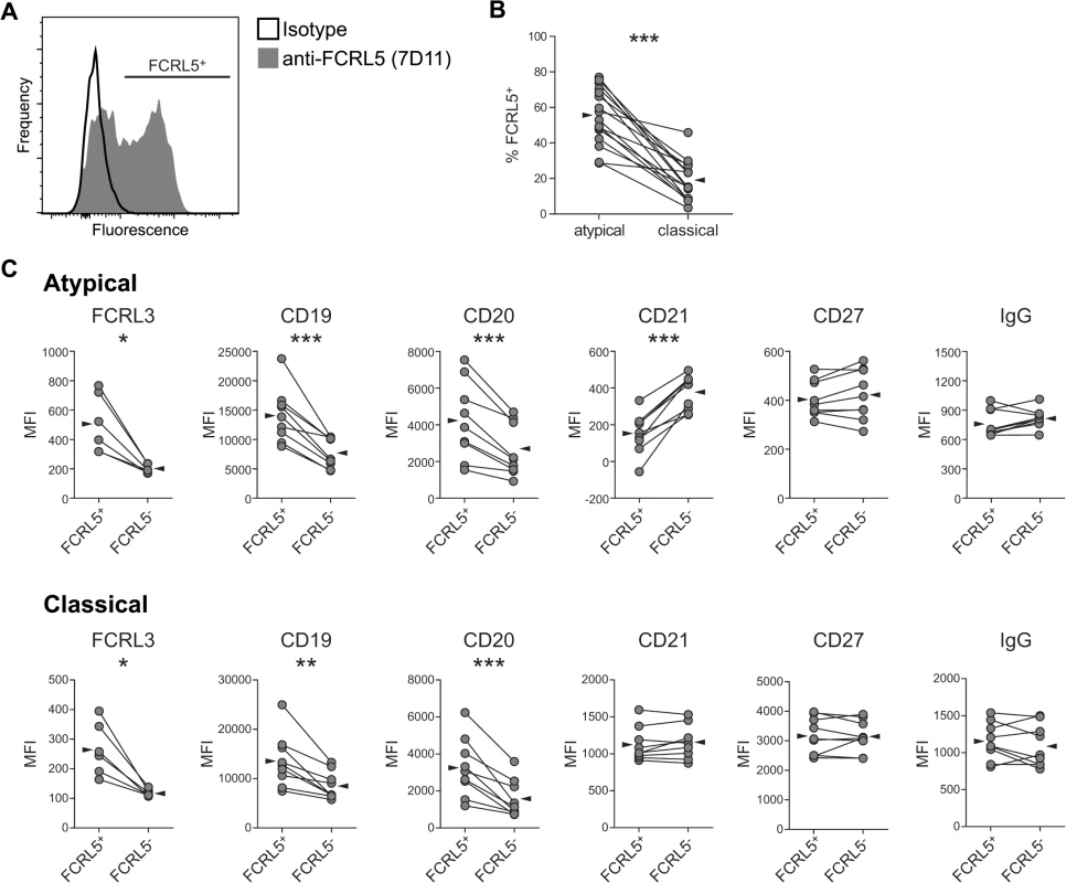 FCRL5 expression defines a phenotypically distinct subset of IgG<sup>+</sup> atMBCs.