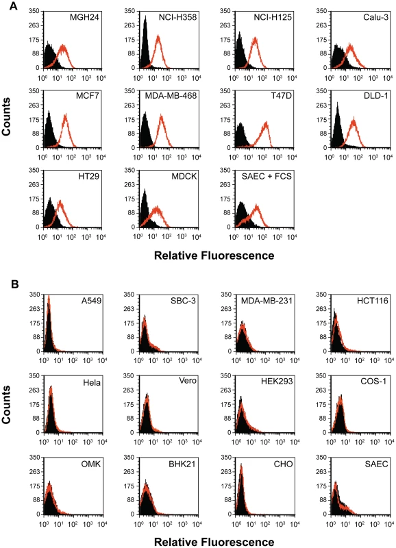 Flow cytometry analysis reveals PVRL4 (Nectin 4) surface expression on cells susceptible for wild type MV infections.