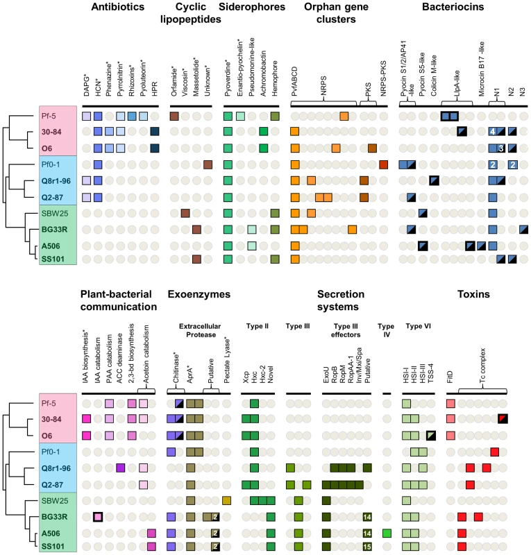 Selected biosynthetic/catabolic genes or gene clusters in the sequenced strains of the <i>P. fluorescens</i> group.