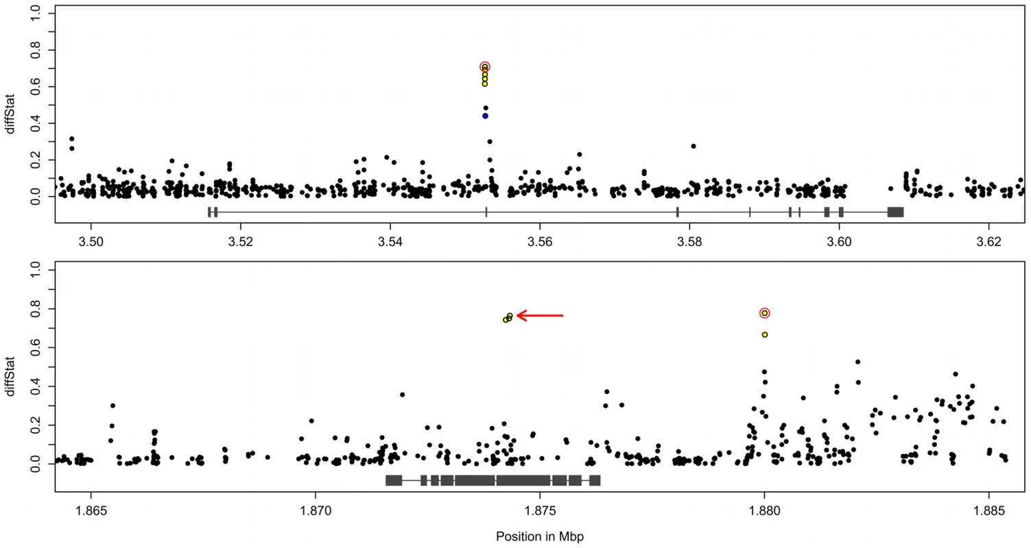 Fine-scale mapping of candidate causal variants.