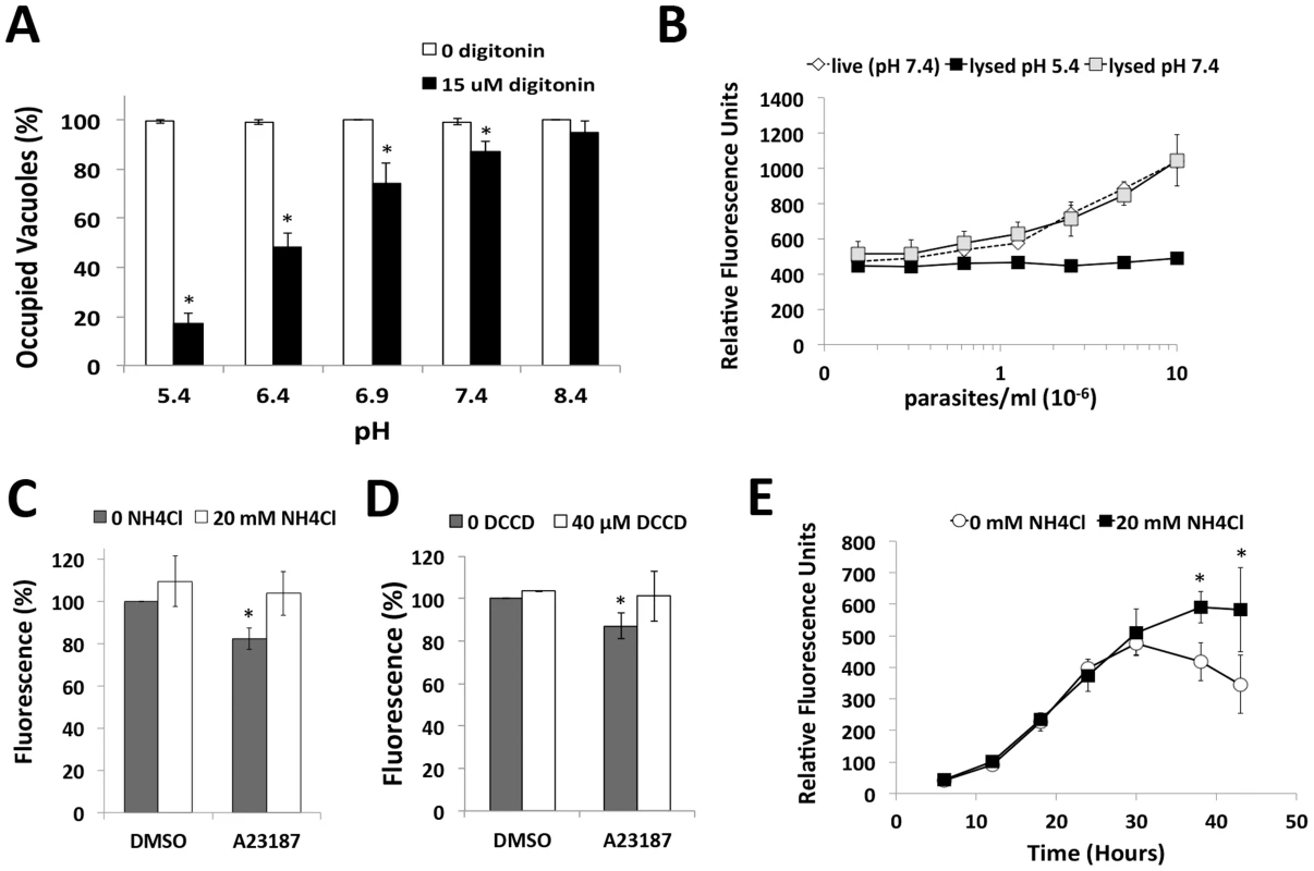 Acidic pH induces parasite egress and pH shifts occur upon egress induction, and late in the replication cycle.