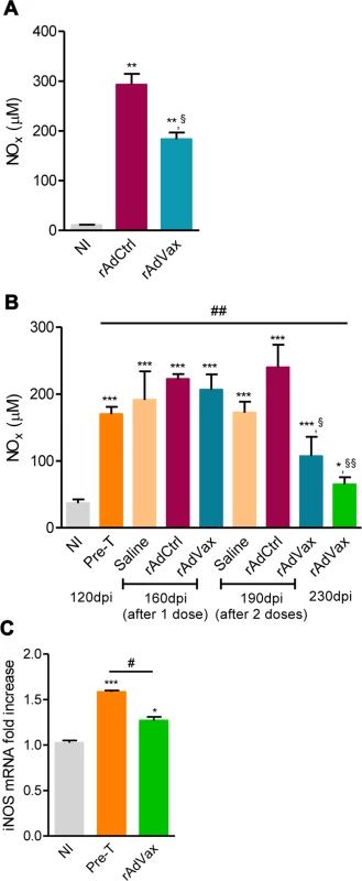 rAdVax immunotherapy modulated serum NOx levels and cardiac iNOS expression in chronically <i>T. cruzi</i>-infected mice.
