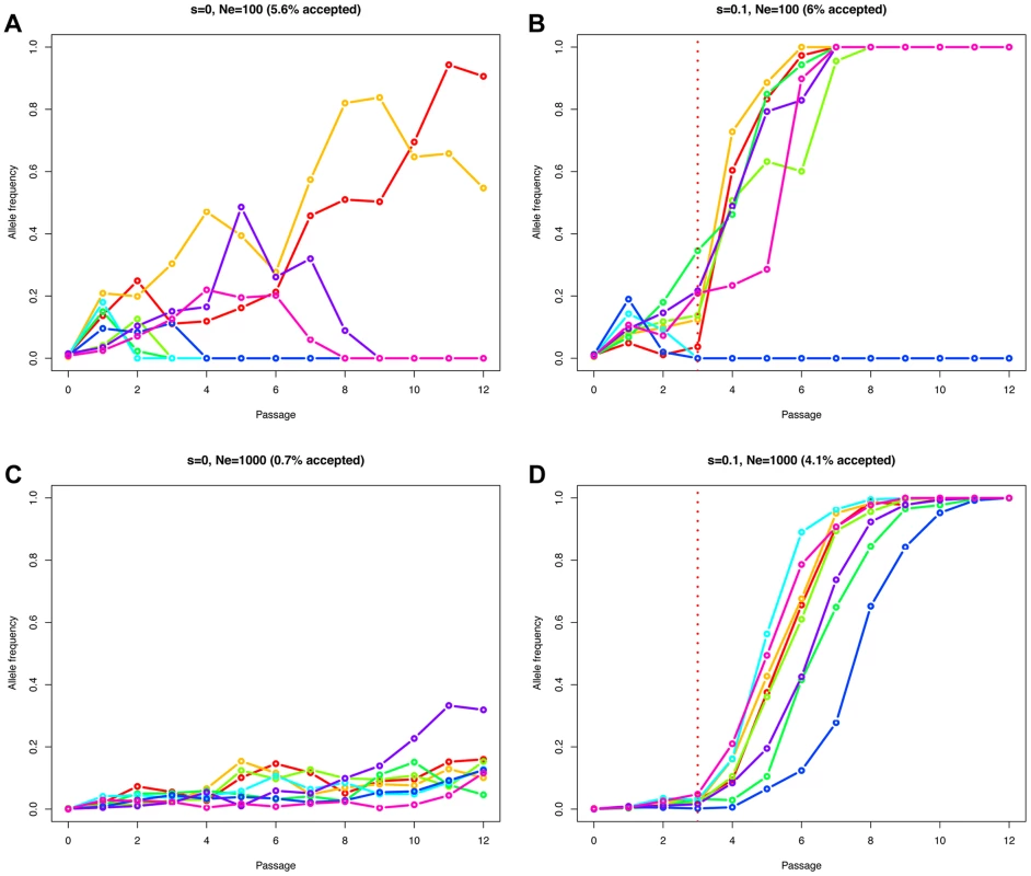 Simulated Wright-Fisher trajectories illustrating the impact of effective population size, selection strength, and ascertainment.