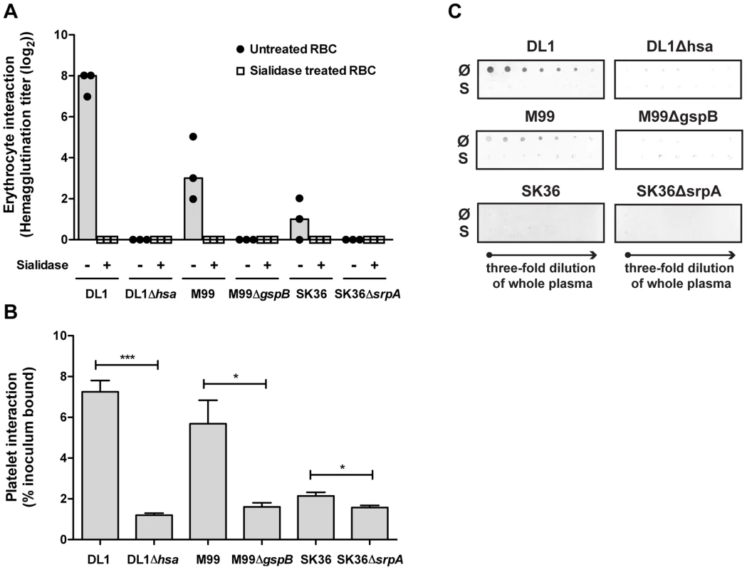 Bacterial interactions with separated erythrocytes, platelets, and whole human plasma.