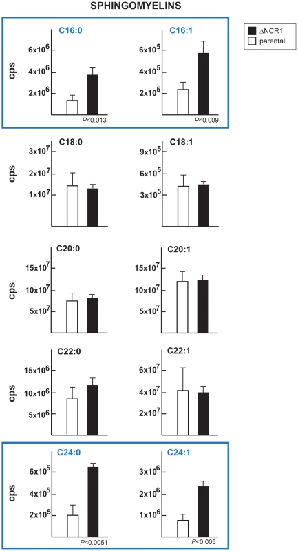 Content in sphingomyelins in TgNCR1-deficient parasites.