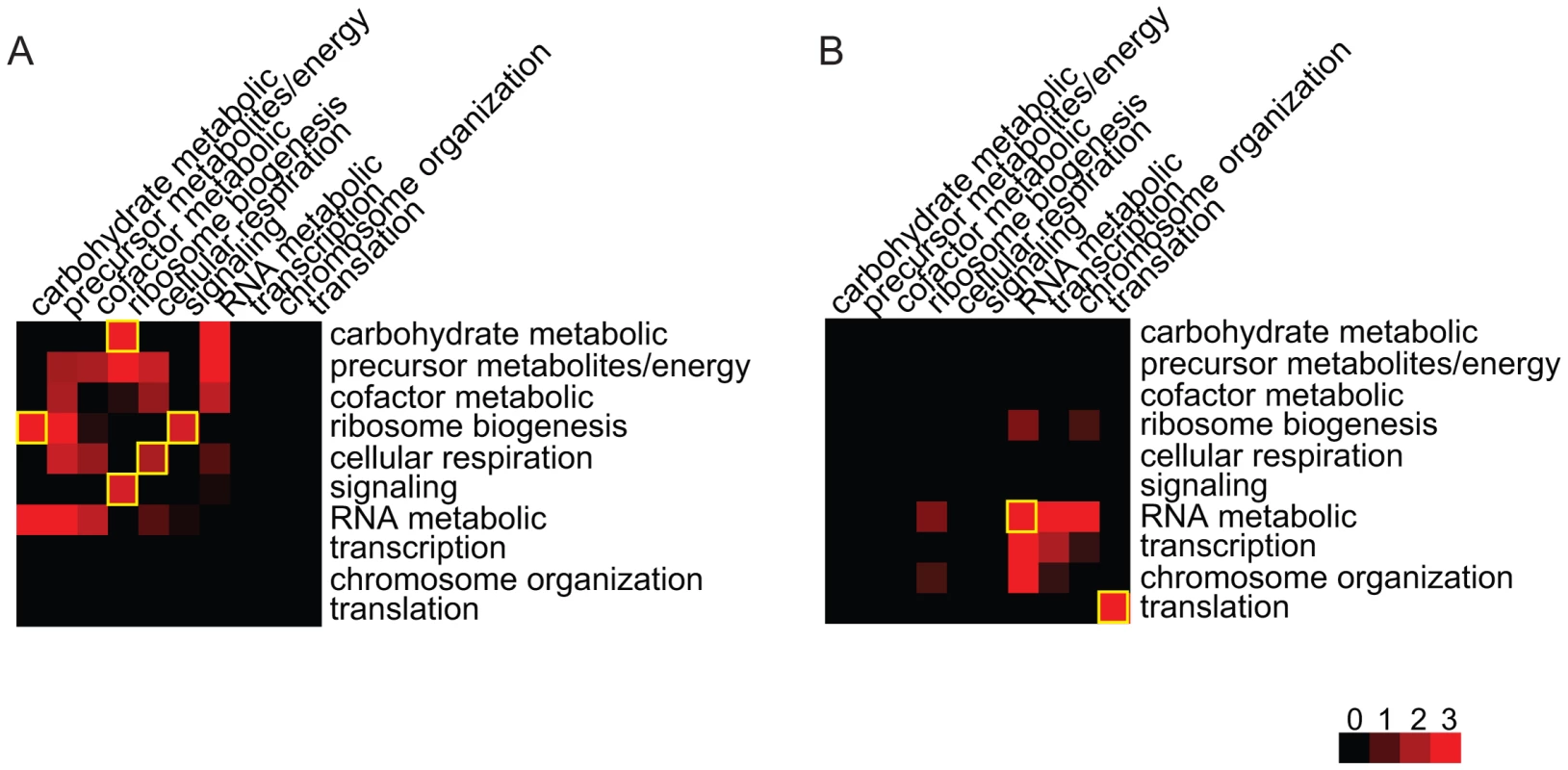Functional distributions of the gene pairs in the module across different bioprocesses.