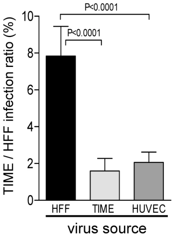 Virus released from EC shows a lower capability to infect EC than virus released from fibroblasts.