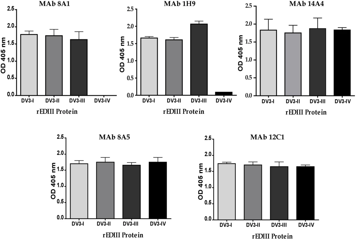 Binding of mouse MAbs to recombinant EDIII from the 4 genotypes of DENV3.