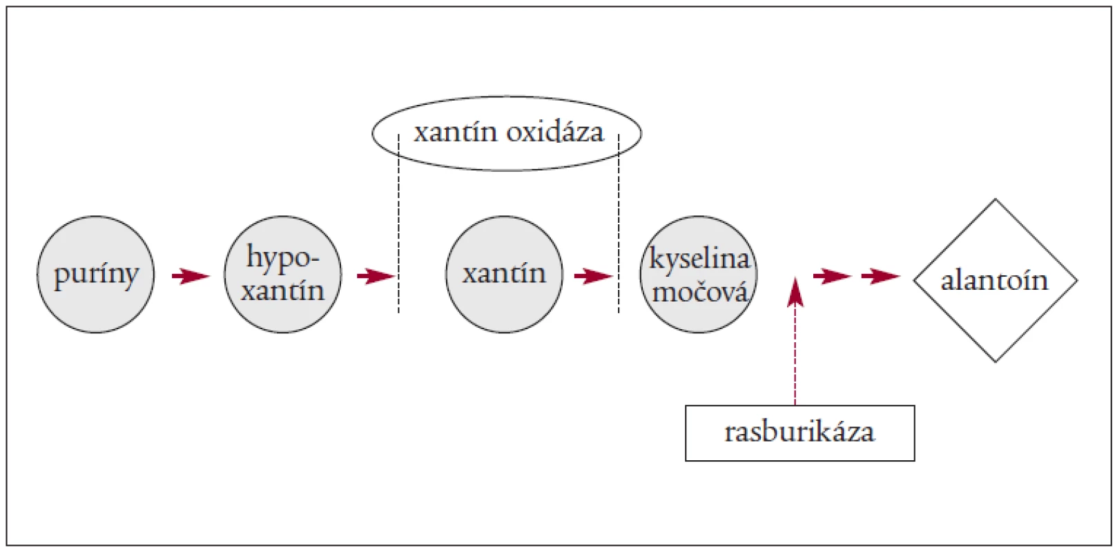Mechanizmus pôsobenia rasburicase.