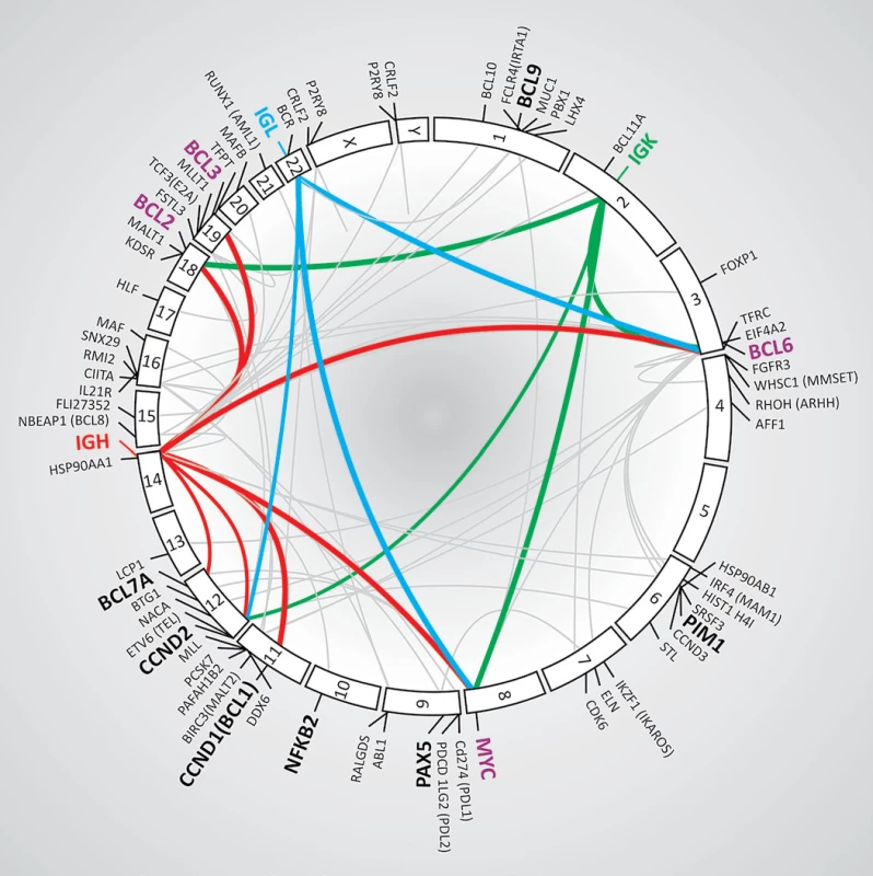 Chromozomální translokace vyskytující se u B lymfomů. Kruhový diagram znázorňuje lidský genom s vyznačenými geny, které se účastní chromozomálních přestaveb u malignit odvozených z B buněk. Oblouky uvnitř diagramu spojují partnerské geny, které se v přestavbách vyskytují. Barevně jsou zvýrazněny geny a přestavby zmíněné v textu. Převzato a upraveno dle [6].