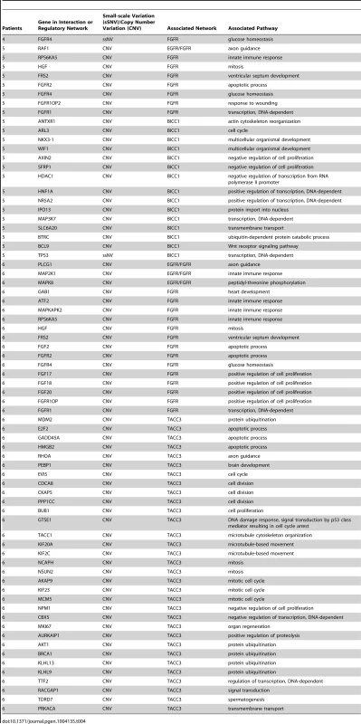 Stable fusion partner gene pathways.