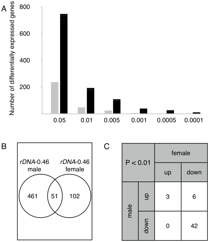 Differentially expressed genes are shared in males and females.