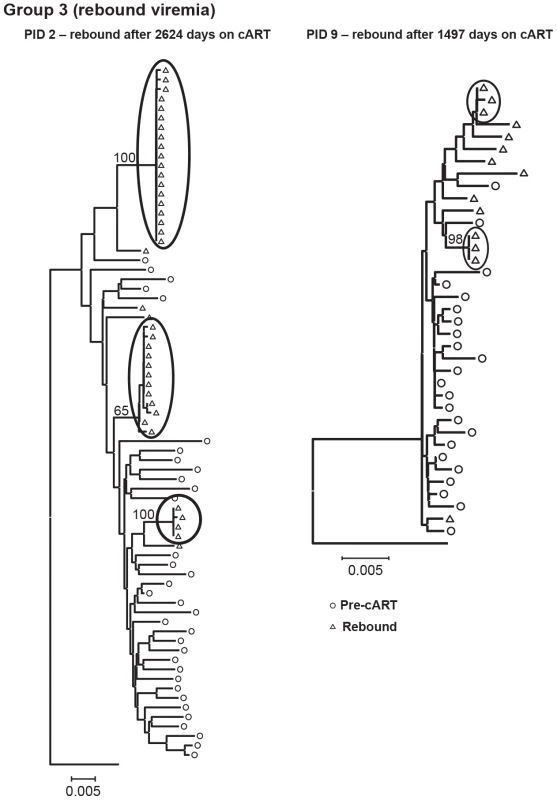 Neighbor-joining trees of single-genome plasma sequences from rebound viremia in patients in Group 3.