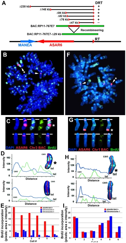 Ectopic integration of <i>ASAR6</i> results in delayed replication of mouse chromosomes.