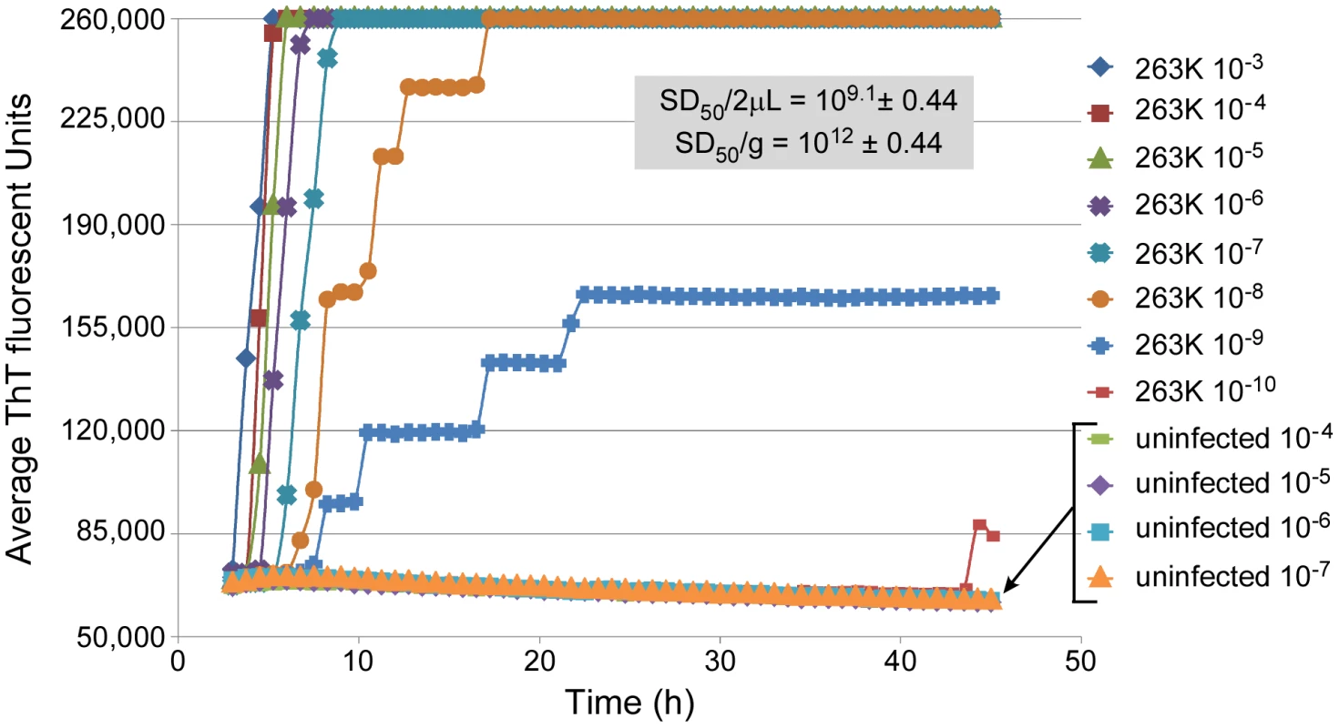 RT-QuIC sensitivity: analysis of dilutions of a scrapie brain homogenate stock.