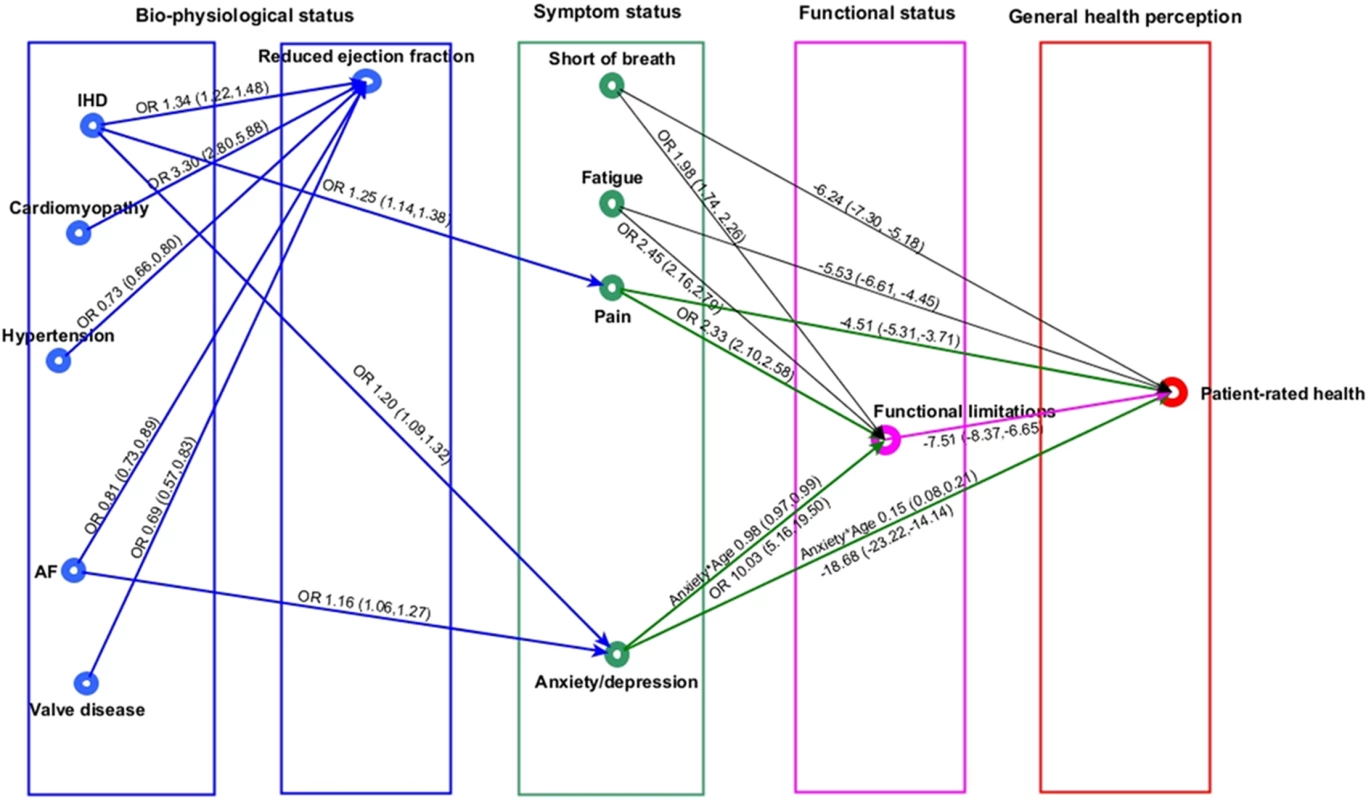 Cardiovascular comorbidities in heart failure and patient health pathway.