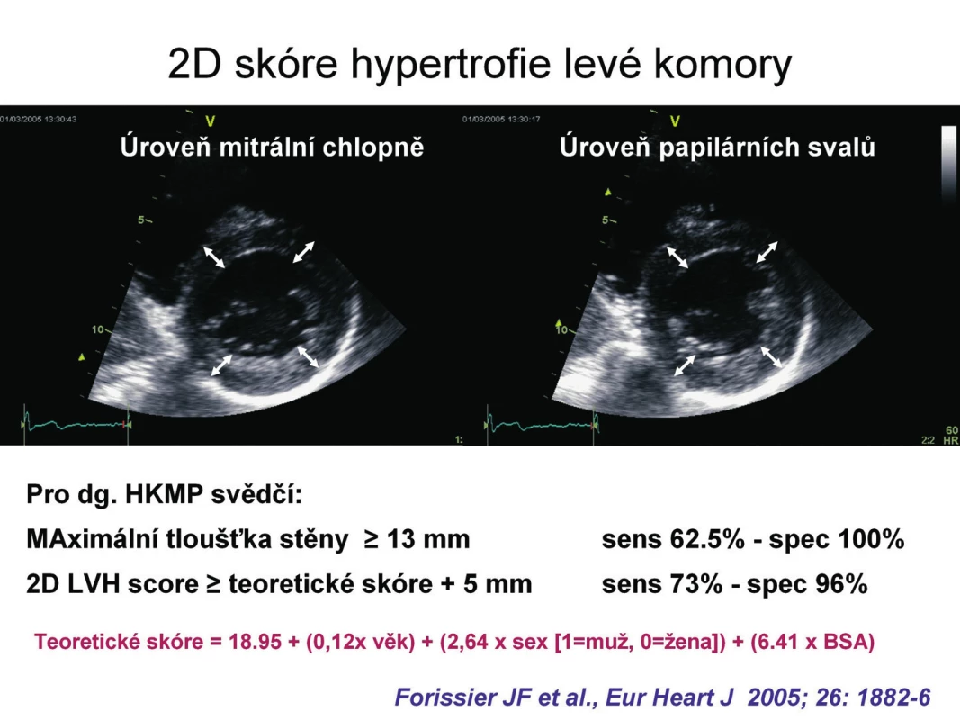 Skórovací systémy pro přesnější diagnostiku (upraveno podle [4]).