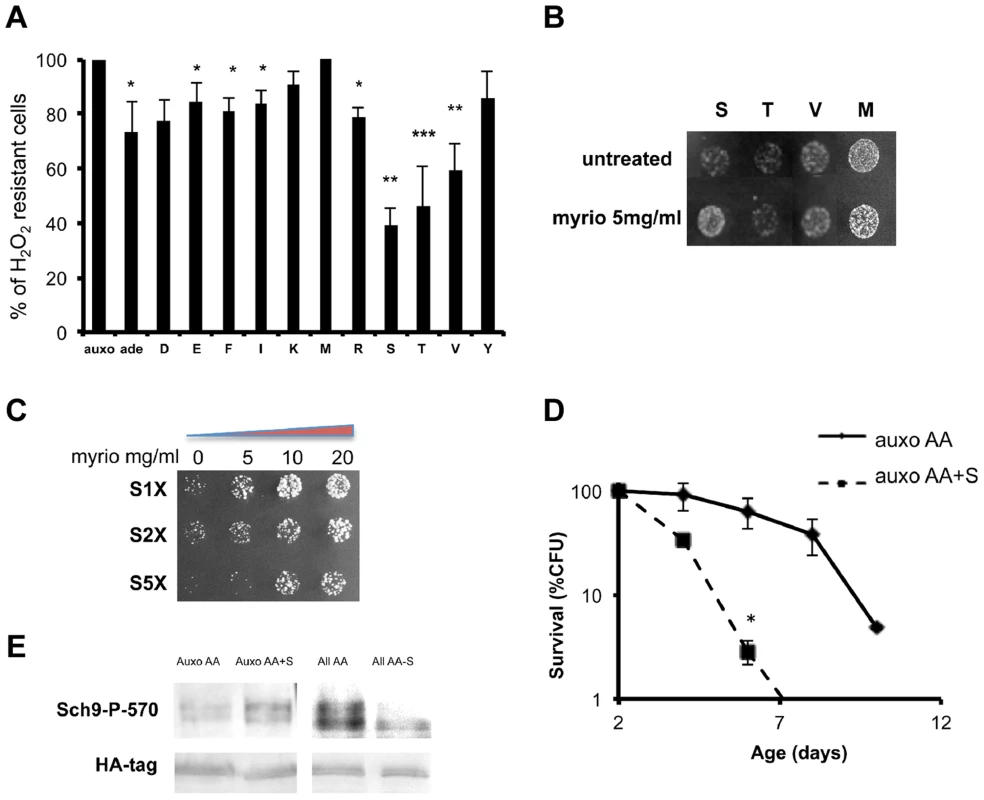 Role of single amino acids in stress sensitization.