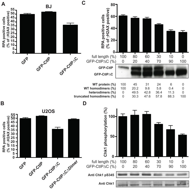 CtIP<sup>SCKL2</sup> is an expression level-dependent dominant-negative protein.