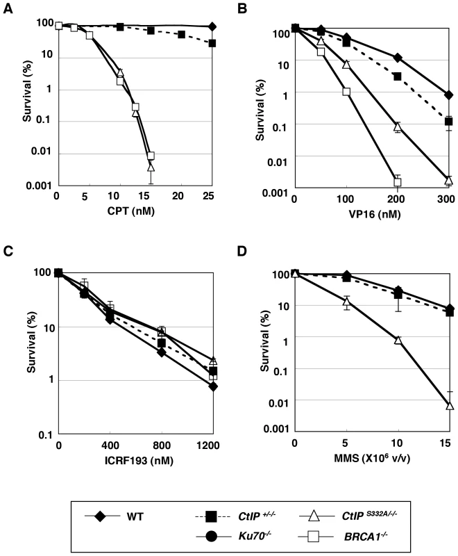 Colony survival assay of <i>CtIP</i> mutant cells to various genotoxic agents.