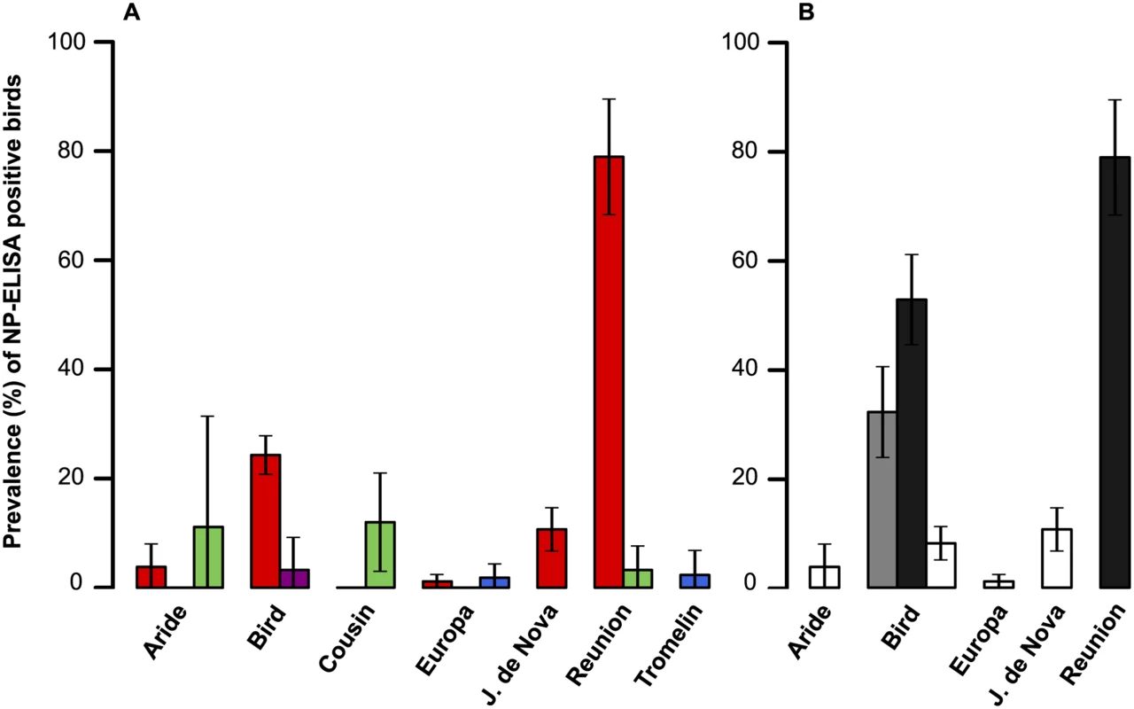 (A) Influenza A virus host diversity.