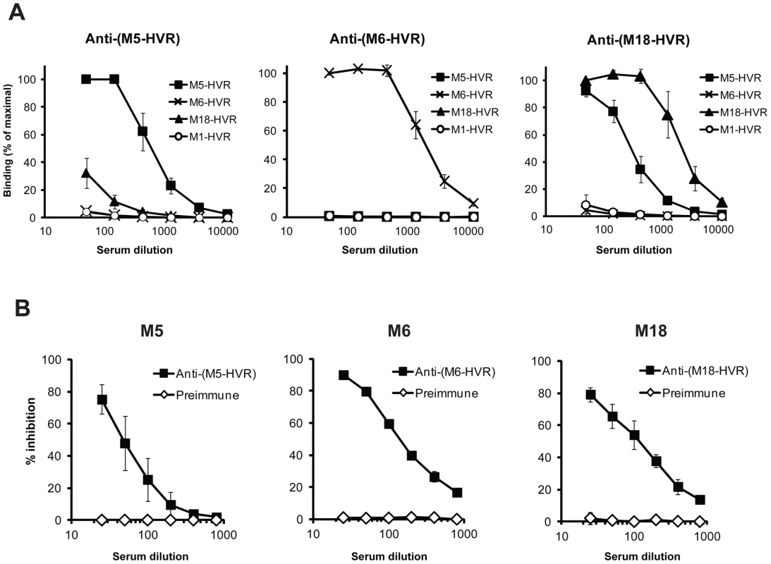 Antigenic properties of FH-binding HVRs.
