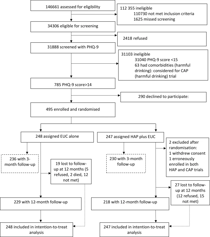 The healthy activity programme trial flow chart.