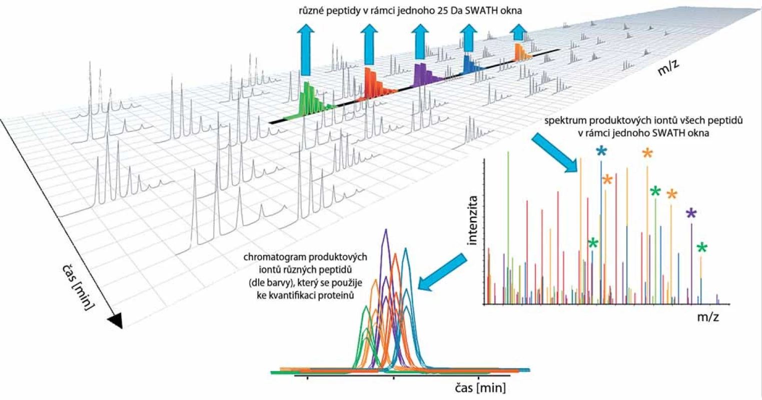 Princip metody SWATH/HRM. Metoda je založená na kvantifikaci produktových iontů vzniklých fragmentací všech prekurzorových iontů (peptidů) v tzv. SWATH oknech. SWATH okna jsou úseky škály <em>m/z</em> nejčastěji o šířce 25 Da (např. při zvoleném hmotnostním rozsahu <em>m/z</em> = 400–1 100 Da se postupně měří 28 SWATH oken v rámci jednoho cca 3 s trvajícího cyklu). Výsledkem měření každého SWATH okna je MS/MS spektrum na pravé straně obrázku. Chromatogram dole znázorňuje koeluci produktových iontů různých peptidů znázorněných různými barvami. Data z chromatogramu se poté využijí ke kvantifikaci peptidů a proteinů ve vzorku. Zdroj: ABSCIEX, se svolením, upraveno dle [27].