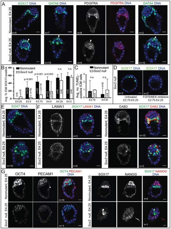 <i>Sox2</i> is required to maintain expression EPI, but not most PE genes.