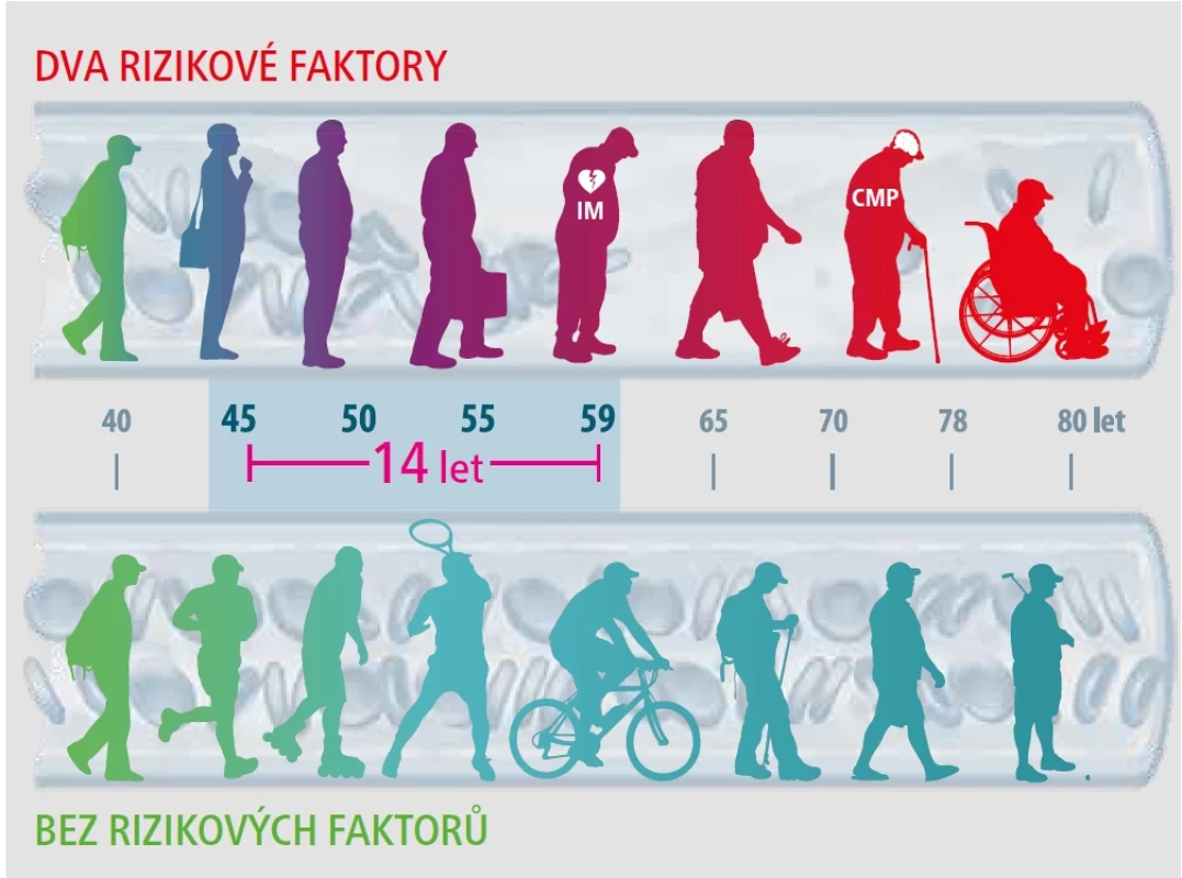 Obr. 1 – Význam souběžné léčby hypertenze (HT) a dyslipoproteinemie (DPL). 