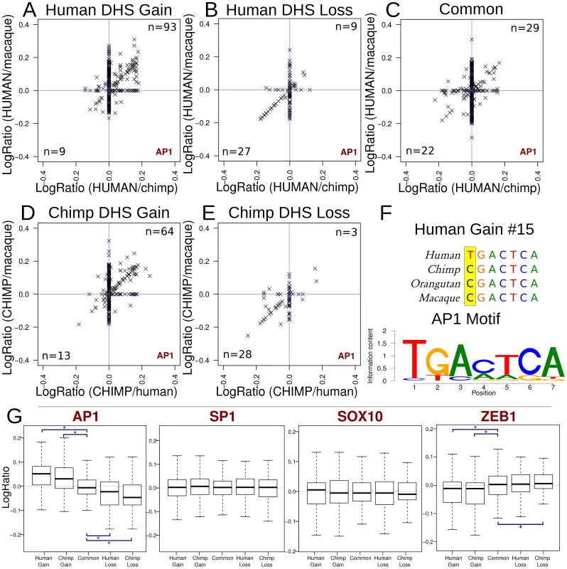 Functional mutations associated with DHS gains and losses.