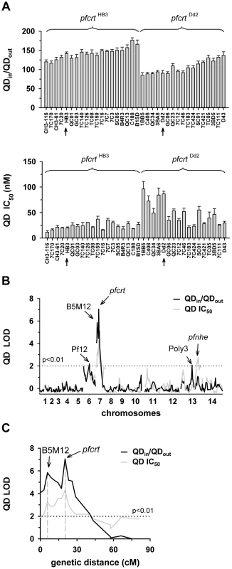 Linkage analyses on quinidine responses in the HB3 x Dd2 cross.