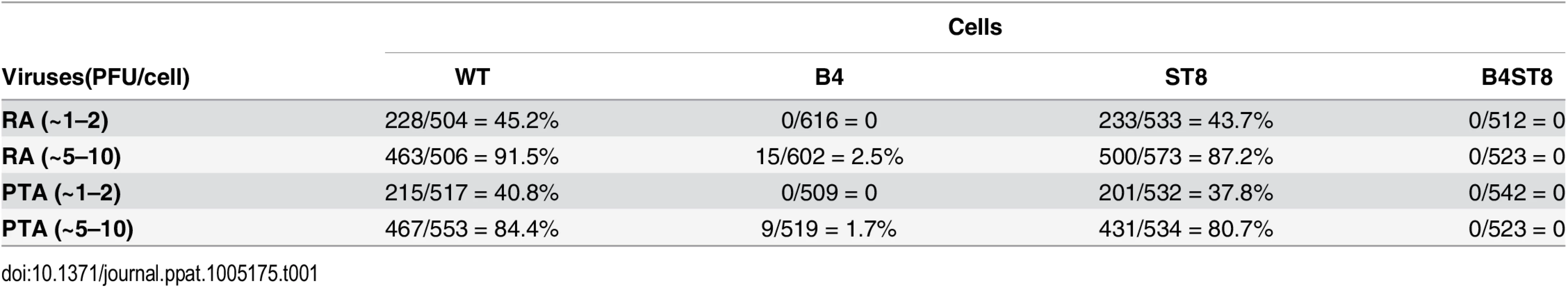 Susceptibility of wild-type and ganglioside deficient MEFs to small plaque and large plaque polyomavirus strains.