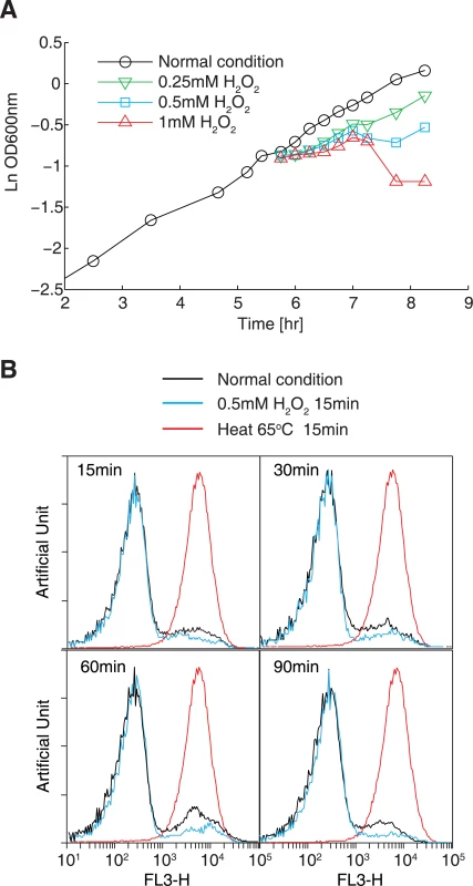Optimization of the oxidative stress conditions.
