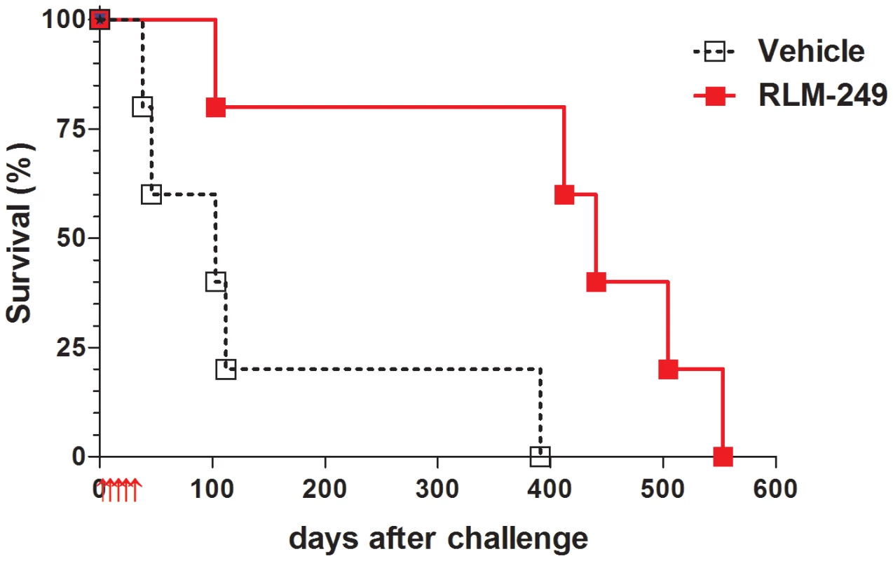 Therapy with the HER-2-redirected oncolytic HSV, R-LM249, of <i>nude</i> mice bearing i.p. human SK-OV-3 ovarian carcinoma.
