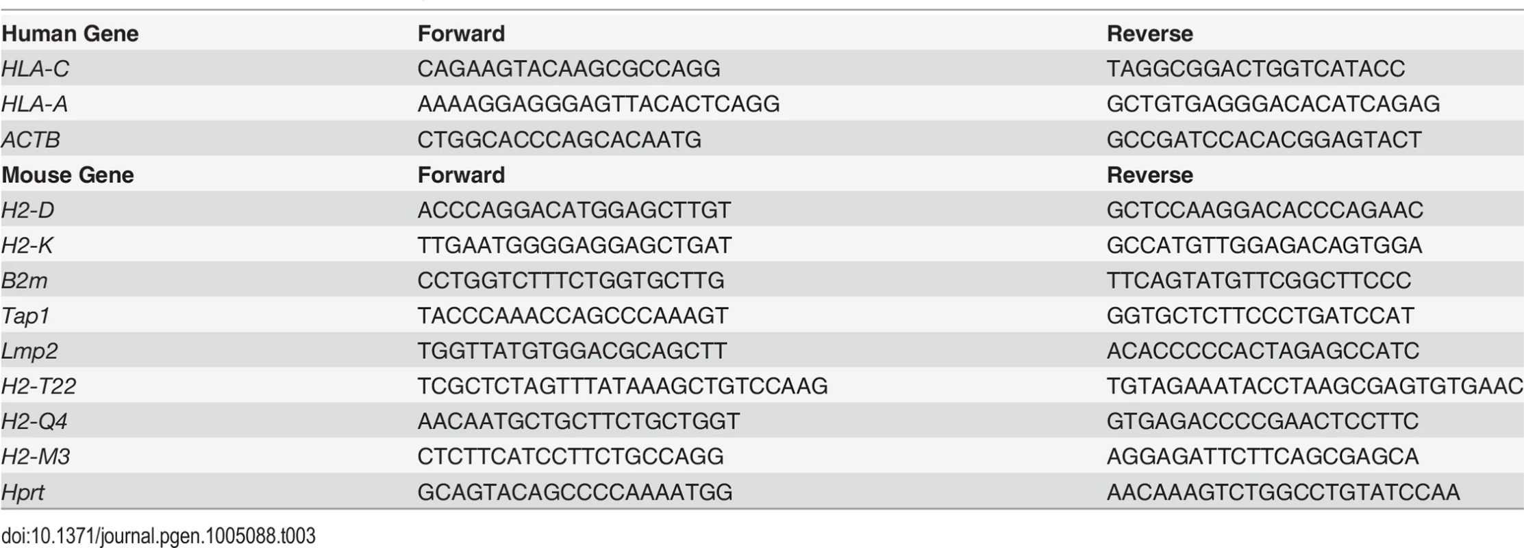 Primers used for qRT-PCR analysis