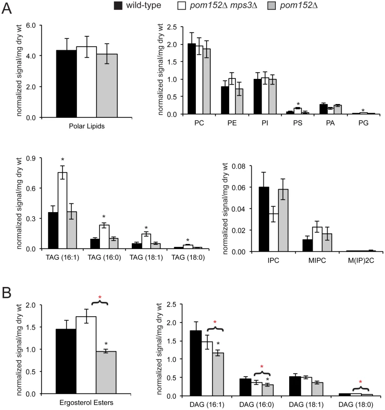 Aberrant lipid levels in cells lacking Mps3 function.
