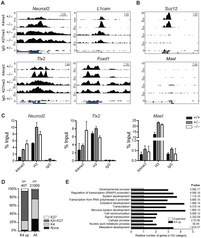 H3K4me3 is increased at bivalent and repressed genes in early <i>Jarid1b</i> embryos.