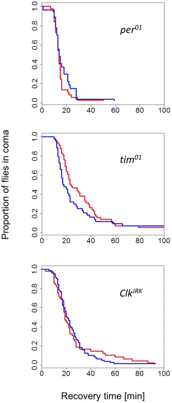 Photo/thermo-periodic response is disrupted in clock mutants.