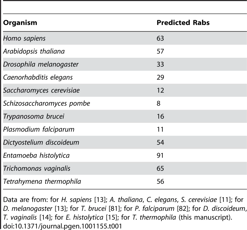The genomes of some unicellular organisms encode large numbers of predicted Rabs, similar to or exceeding those of multicellular organisms.