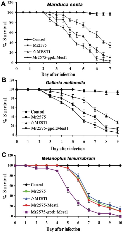 Pathogenicity of <i>Metarhizium robertsii</i> strains.