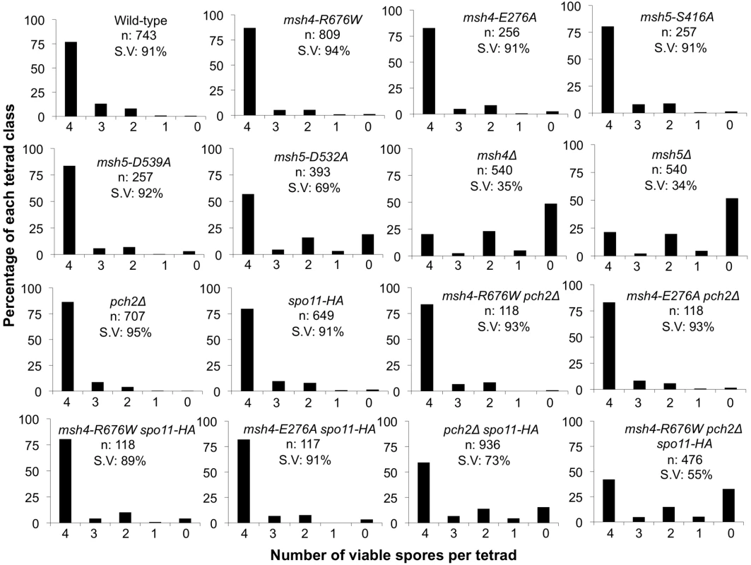Spore viability profile of wild-type and mutant strains in the NHY942/943 strain background.