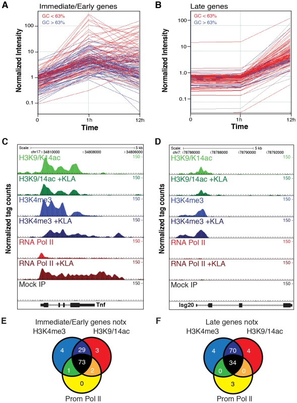 Immediate/early (I/E) and late genes exhibit characteristics of actively transcribed genes under basal conditions.