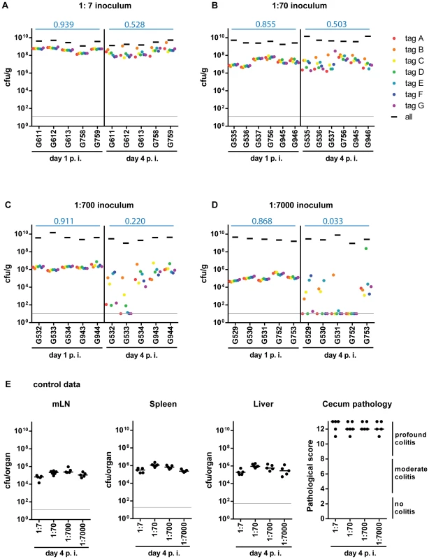 Systematic dilution experiments of the tagged <i>S.</i> Tm<sup>WT</sup> strains allow assessing the level of WITS diversity loss.