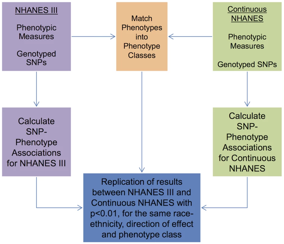 Overview of the approach for this study.