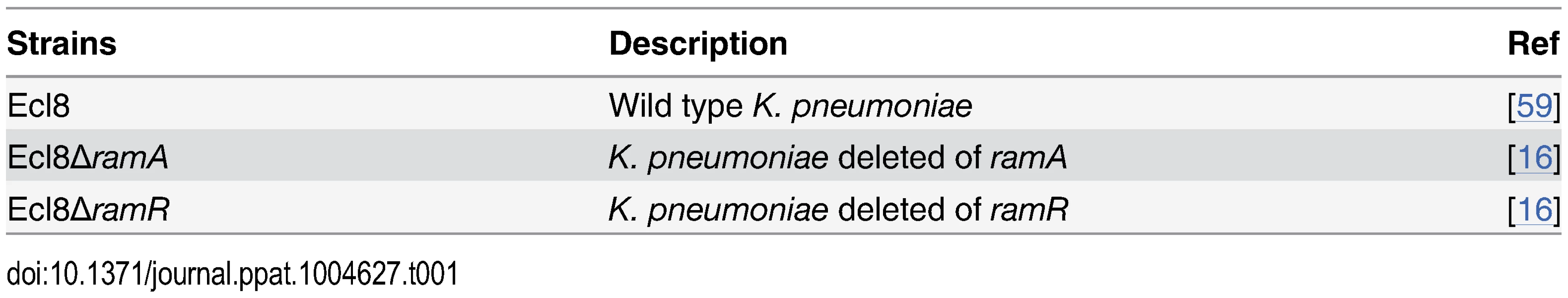 Strains used in this study.
