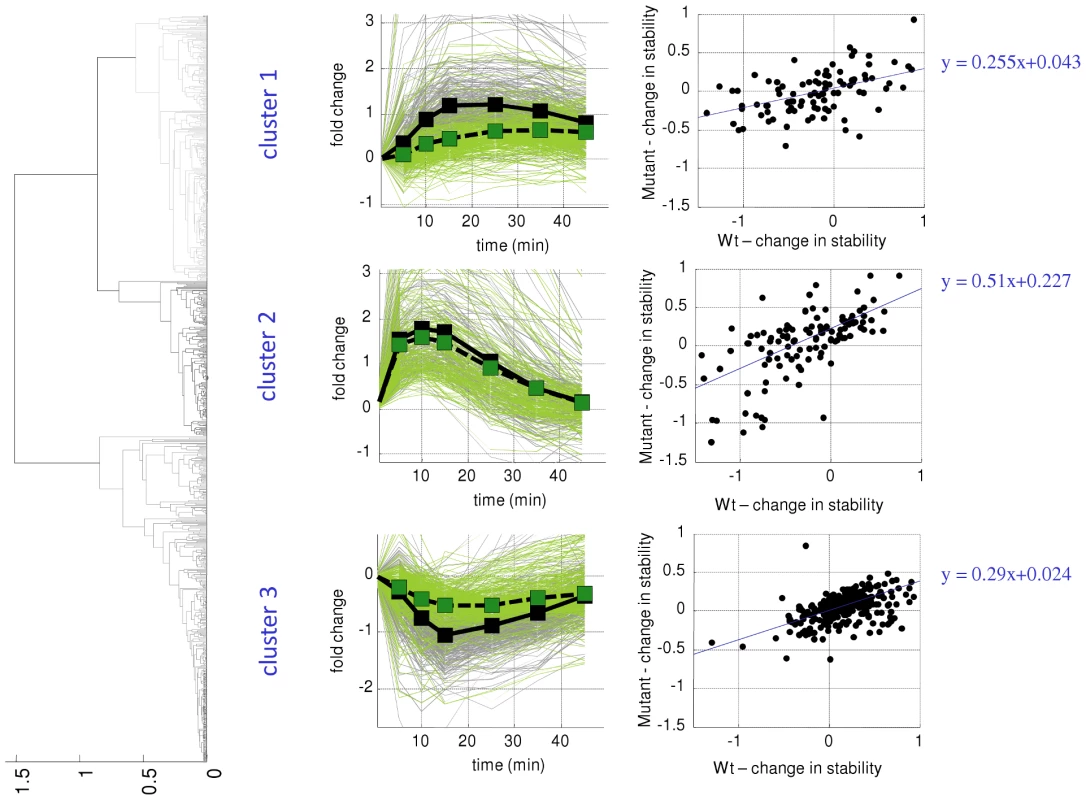 Impaired response of Rbp6 mutant strain.
