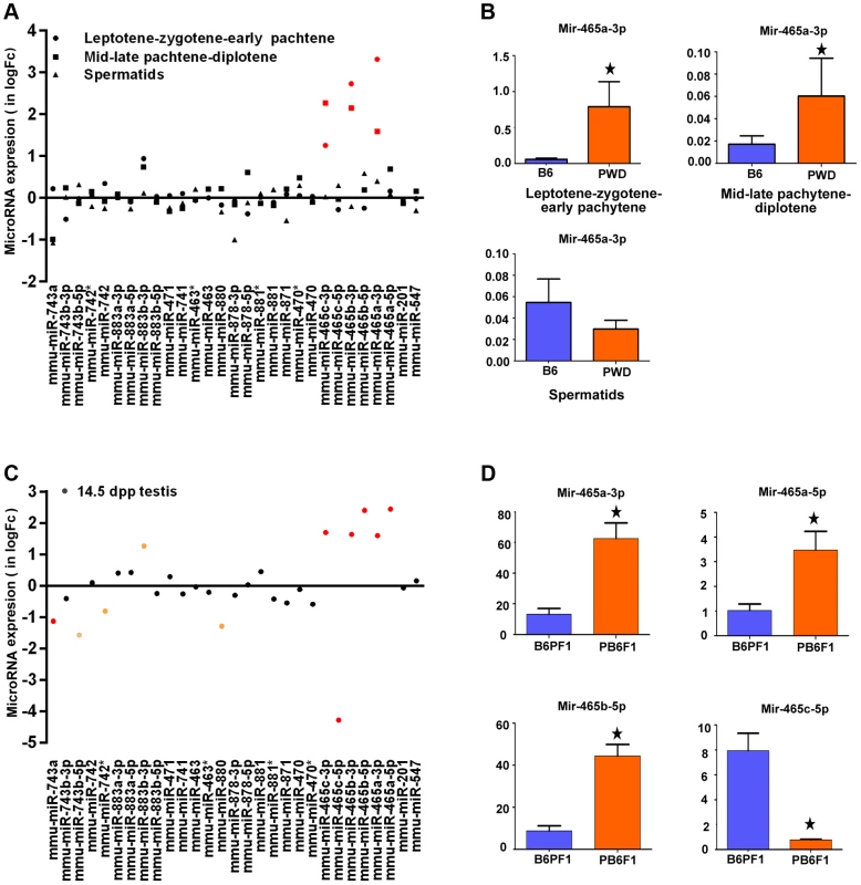 Expression profiling of a cluster of MiRNA genes within the <i>Hstx1/Hstx2</i> critical region.
