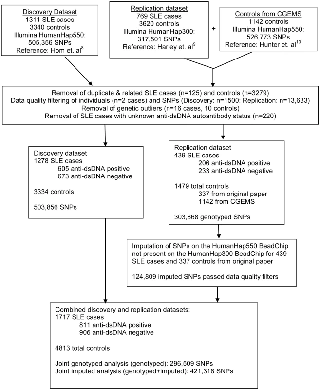 Overview of sample sizes and genotyping platforms used in this study.